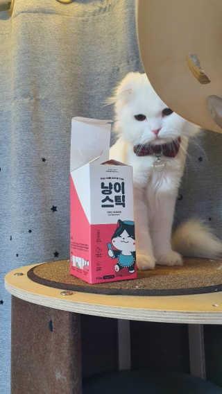 채시아님이 올린 리뷰 사진 2