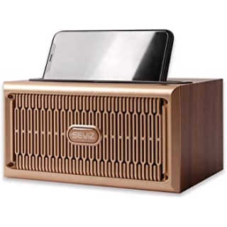 SEVIZ RETRO20W 레트로 블루투스 스피커 — 5점을 준 리뷰어가 2020년 8월 올린 사용 사진