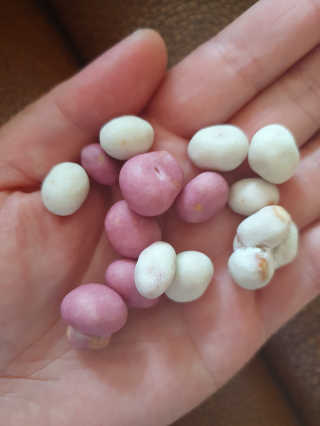 탱크돌콩님이 올린 리뷰 사진 2
