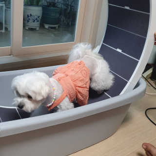 꽃양뿌니님이 올린 리뷰 사진 2