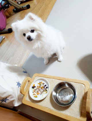 겸둥이연우맘님이 올린 리뷰 사진 2