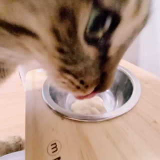jemjug님이 올린 리뷰 사진 4