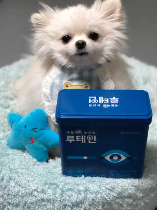 서울약사신협_내몸애눈건강루테인_2g x 50포 — 5점을 준 리뷰어가 2020년 11월 올린 사용 사진