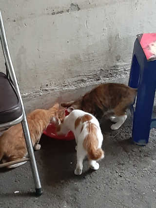 부산댁님이 올린 리뷰 사진 4