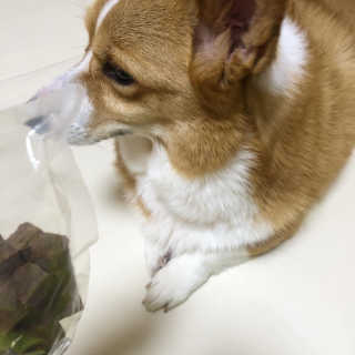 My Pet Care 천연단백질 관절건강에 개좋아 — 5점을 준 리뷰어가 2020년 12월 올린 사용 사진