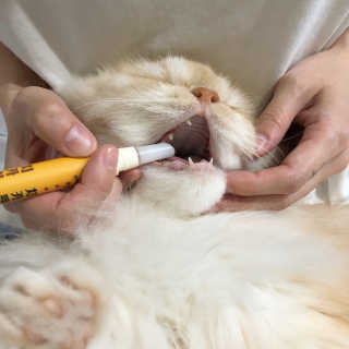 suuujin님이 올린 리뷰 사진 3