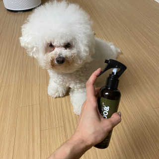 서라님이 올린 리뷰 사진 4