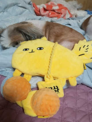 무무님이 올린 리뷰 사진 1