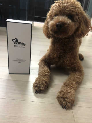 예민한 피부를 위한 코코몰리 All in one 자연유래 샴푸 — 4점을 준 리뷰어가 2020년 6월 올린 사용 사진