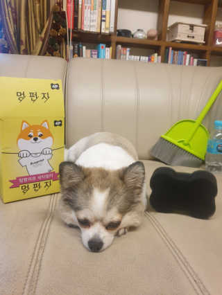 나나맘님이 올린 리뷰 사진 3