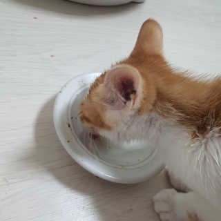쓔리님이 올린 리뷰 사진 3