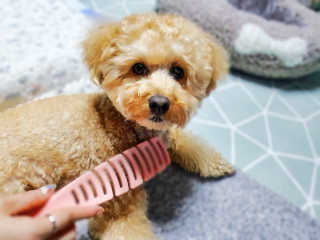 ve_randa님이 올린 리뷰 사진 1