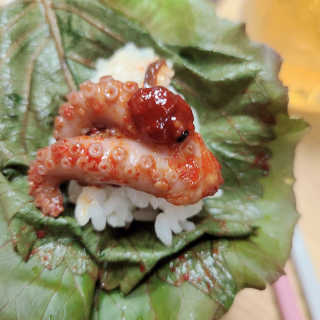 으싯님이 올린 리뷰 사진 1