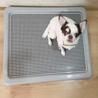 mini unni님이 올린 리뷰 사진 1