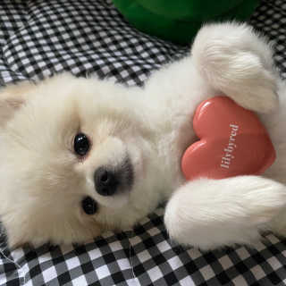임혜빈님이 올린 리뷰 사진 1