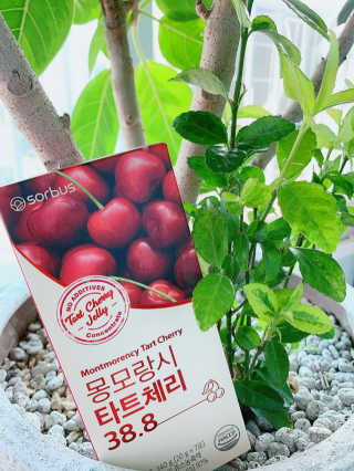 소버스 몽모랑시 타트체리 38.8 — 5점을 준 리뷰어가 2020년 9월 올린 사용 사진