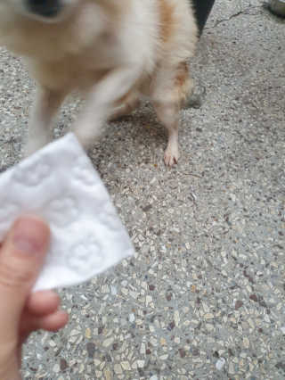 흐큑흐큑님이 올린 리뷰 사진 2