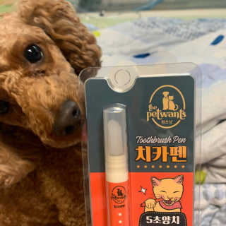 더펫원츠 [5초양치] 멍.치카펜 or 냥.치카펜 or 치카오일펜 — 5점을 준 리뷰어가 2020년 5월 올린 사용 사진