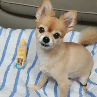 뽀으리이님이 올린 리뷰 사진 1