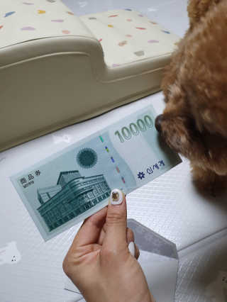 최정임님이 올린 리뷰 사진 2