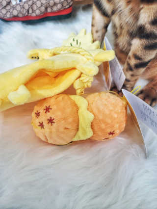 효니님이 올린 리뷰 사진 3