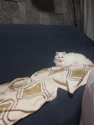 논지님이 올린 리뷰 사진 2