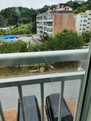 러블리님이 올린 리뷰 사진 2