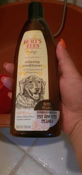 버츠비 케어플러스 릴리빙 컨디셔너_카모마일,로즈마리 — 5점을 준 리뷰어가 2020년 8월 올린 사용 사진