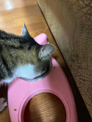 다니당근님이 올린 리뷰 사진 3