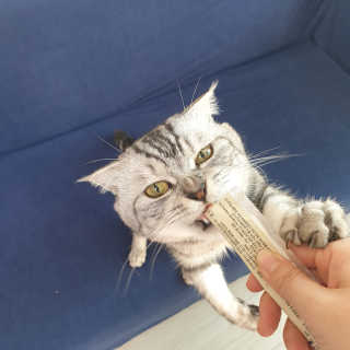 이째님이 올린 리뷰 사진 3