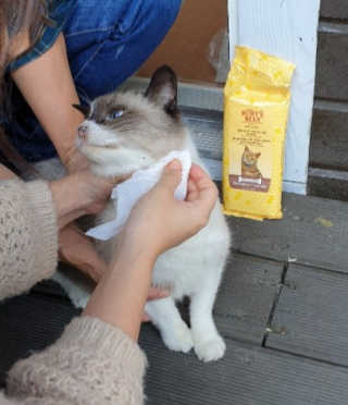 리라로님이 올린 리뷰 사진 2