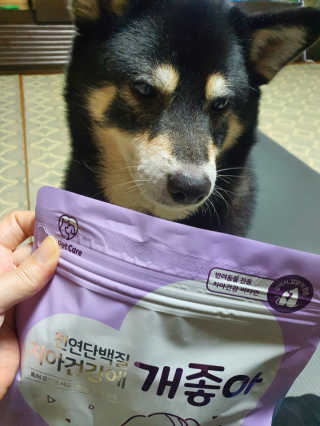 My Pet Care 천연단백질 치아건강에 개좋아 — 3점을 준 리뷰어가 2020년 11월 올린 사용 사진