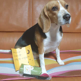 beaglelove님이 올린 리뷰 사진 1