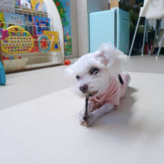 포나님이 올린 리뷰 사진 4