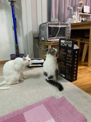 fongfong님이 올린 리뷰 사진 4