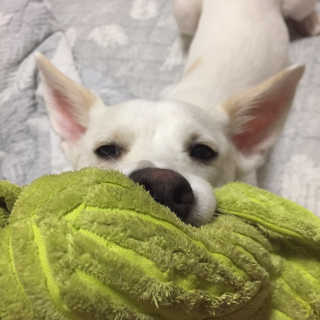 J님이 올린 리뷰 사진 3