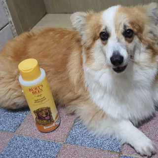 환희님이 올린 리뷰 사진 1