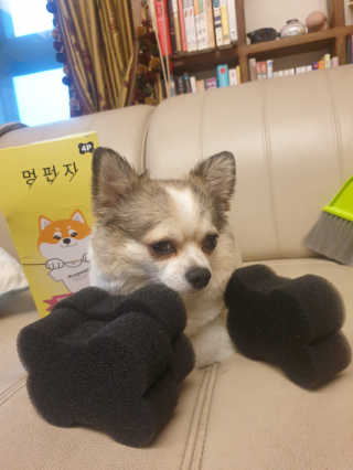 나나맘님이 올린 리뷰 사진 2