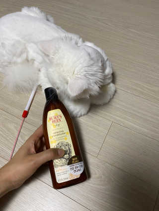 해리님이 올린 리뷰 사진 1