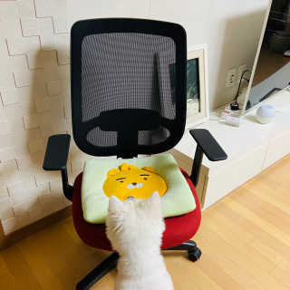 희주곽님이 올린 리뷰 사진 4