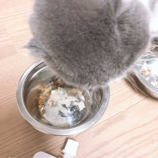 reine님이 올린 리뷰 사진 4