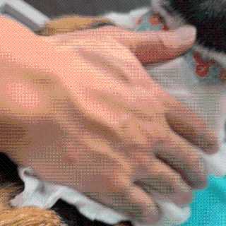 코코민네님이 올린 리뷰 사진 4