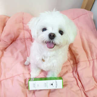 lala님이 올린 리뷰 사진 1