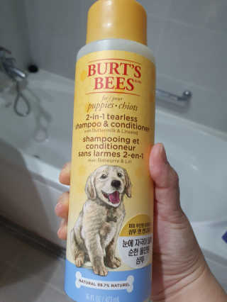 버츠비 퍼피투인원 티어리스 샴푸 앤 컨디셔너 — 4점을 준 리뷰어가 2020년 9월 올린 사용 사진