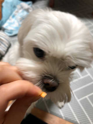 아니님이 올린 리뷰 사진 4