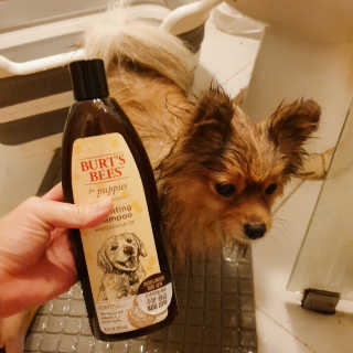 은선이짱님이 올린 리뷰 사진 4