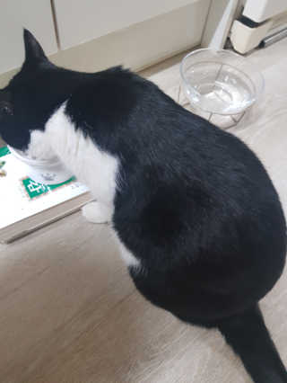 홍시님이 올린 리뷰 사진 4