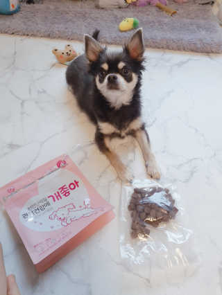 My Pet Care 천연단백질 관절건강에 개좋아 — 4점을 준 리뷰어가 2020년 11월 올린 사용 사진