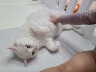 유찬,세온맘님이 올린 리뷰 사진 3