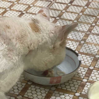 ㄴ모오러님이 올린 리뷰 사진 3